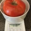 Mikhalych Tomato Heirloom Seeds Grown in Sudbury, Ontario, Canada. Grown Organically. Heritage Hobby Seed Ark.