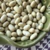 Lusaka Semi-Runner Bean Heirloom Seeds. Grown in Sudbury, Ontario, Canada. Organically Grown. Heritage Hobby Seed Ark.