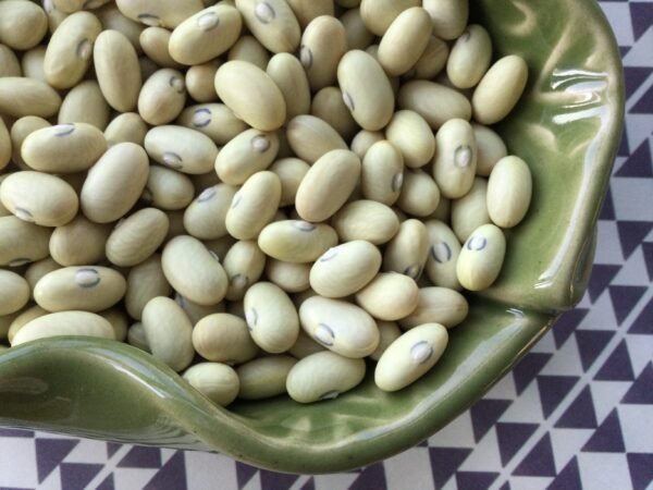 Lusaka Semi-Runner Bean Heirloom Seeds. Grown in Sudbury, Ontario, Canada. Organically Grown. Heritage Hobby Seed Ark.