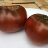 Kabuli Black Tomato Heirloom Seeds Grown in Sudbury, Ontario, Canada. Grown Organically. Heritage Hobby Seed Ark.