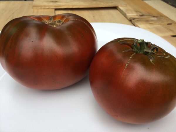 Kabuli Black Tomato Heirloom Seeds Grown in Sudbury, Ontario, Canada. Grown Organically. Heritage Hobby Seed Ark.