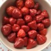 Aji Strawberry Drops Pepper Heirloom Seeds Grown in Sudbury, Ontario, Canada. Grown Organically. Heritage Hobby Seed Ark.