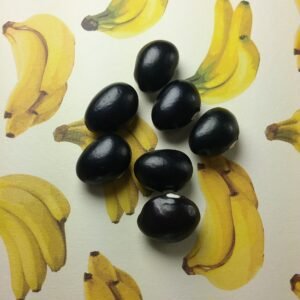 Black Coco Bean Heirloom Seeds Grown in Sudbury, Ontario, Canada. Grown Organically. Heritage Hobby Seed Ark.