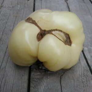 Tomato Seeds - White Varieties