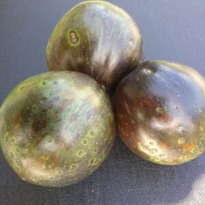 Dark Galaxy Tomato Heirloom Seeds Grown in Sudbury, Ontario, Canada. Grown Organically. Heritage Hobby Seed Ark.