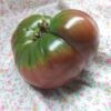 Black Giant Tomato Tomato Rare Heirloom Seeds Grown in Sudbury, Ontario, Canada. Grown Organically. Heritage Hobby Seed Ark.