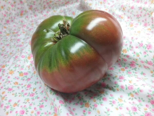 Black Giant Tomato Tomato Rare Heirloom Seeds Grown in Sudbury, Ontario, Canada. Grown Organically. Heritage Hobby Seed Ark.