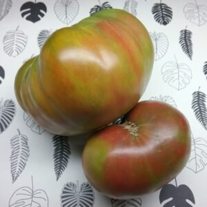 Bunte Pflaume Tomato Heirloom Seeds Grown in Sudbury, Ontario, Canada. Grown Organically. Heritage Hobby Seed Ark.