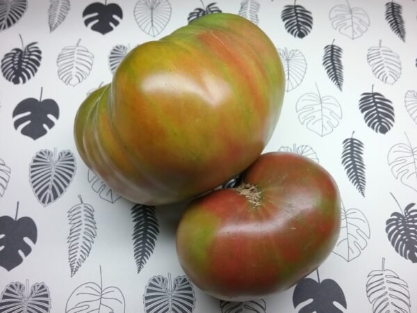 Bunte Pflaume Tomato Heirloom Seeds Grown in Sudbury, Ontario, Canada. Grown Organically. Heritage Hobby Seed Ark.