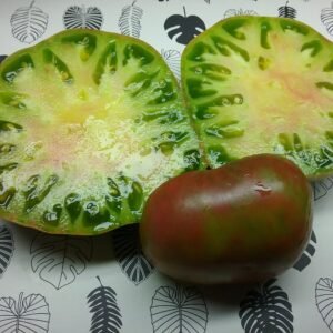 Tomato Seeds - Multicoloured Varieties