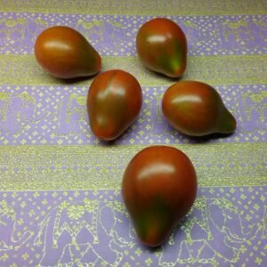 Chocolate Pear Tomato Heirloom Seeds Grown in Sudbury, Ontario, Canada. Grown Organically. Heritage Hobby Seed Ark.