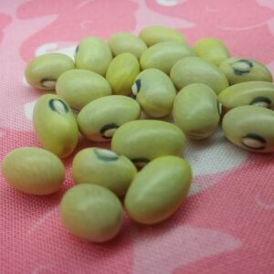 Hutterite Soup Bush Bean Heirloom Seeds. Grown in Sudbury, Ontario, Canada. Organically Grown. Heritage Hobby Seed Ark.