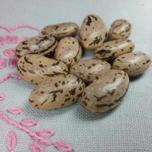 Jeminiez Pole Bean Heirloom Seeds. Grown in Sudbury, Ontario, Canada. Organically Grown. Heritage Hobby Seed Ark.