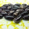 Kabarika Bush Bean Heirloom Seeds. Grown in Sudbury, Ontario, Canada. Organically Grown. Heritage Hobby Seed Ark.