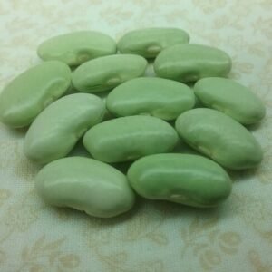 Soissons Verte Pole Bean Heirloom Seeds Grown in Sudbury, Ontario, Canada. Grown Organically. Heritage Hobby Seed Ark.