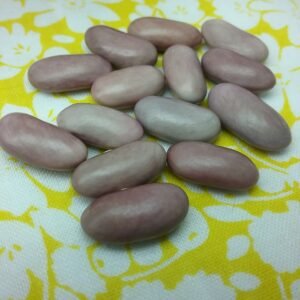 Lavender Bush Bean Heirloom Seeds. Grown in Sudbury, Ontario, Canada. Organically Grown. Heritage Hobby Seed Ark.