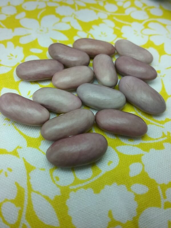 Lavender Bush Bean Heirloom Seeds. Grown in Sudbury, Ontario, Canada. Organically Grown. Heritage Hobby Seed Ark.