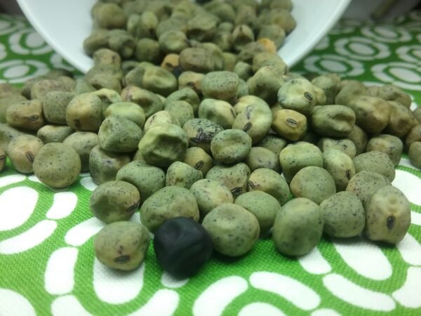 Argenteum Pea Heirloom Seeds Grown in Sudbury, Ontario, Canada. Grown Organically. Heritage Hobby Seed Ark.