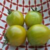 Green Grape Tomato Heirloom Seeds Grown in Sudbury, Ontario, Canada. Grown Organically. Heritage Hobby Seed Ark.