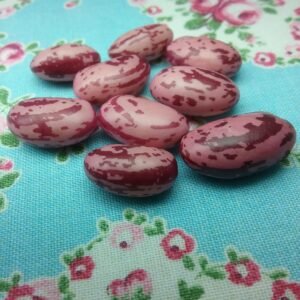 Vermon Cranberry Bush Bean Heirloom Seeds Grown in Sudbury, Ontario, Canada. Grown Organically. Heritage Hobby Seed Ark.