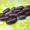 Koronis Purple Bush Bean Heirloom Seeds. Grown in Sudbury, Ontario, Canada. Organically Grown. Heritage Hobby Seed Ark.