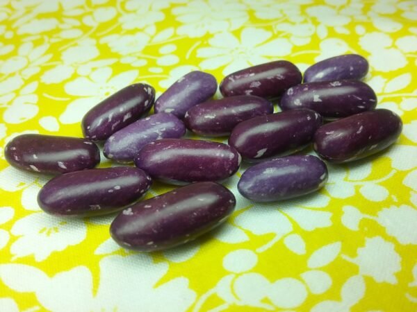 Koronis Purple Bush Bean Heirloom Seeds. Grown in Sudbury, Ontario, Canada. Organically Grown. Heritage Hobby Seed Ark.