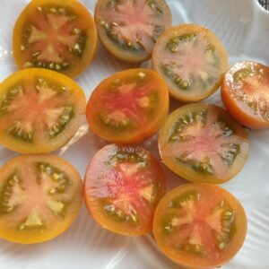 Amarillo Armadillo Tomato Rare and Heirloom Seeds Grown in Sudbury, Ontario, Canada. Grown Organically. Heritage Hobby Seed Ark.