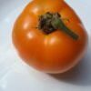 Heirloom Seeds Grown in Sudbury, Ontario, Canada. Grown Organically. Heritage Hobby Seed Ark.