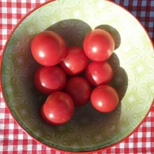 Karma Pink Tomato Heirloom Seeds Grown in Sudbury, Ontario, Canada. Grown Organically. Heritage Hobby Seed Ark.