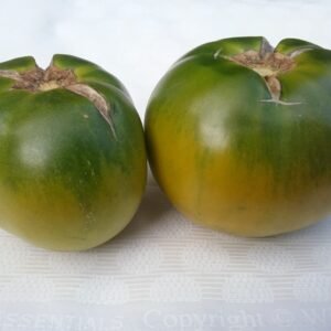 Tomato Seeds - Green Varieties