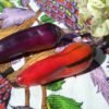 Tigre Jalapeno Pepper Heirloom Seeds Grown in Sudbury, Ontario, Canada. Grown Organically. Heritage Hobby Seed Ark.