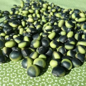 Soybean Seeds