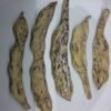 Bis Bush Bean Heirloom Seeds Grown in Sudbury, Ontario, Canada. Grown Organically. Heritage Hobby Seed Ark.