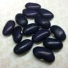 Rosa's Pole Bean Heirloom Seeds Grown in Sudbury, Ontario, Canada. Grown Organically. Heritage Hobby Seed Ark.