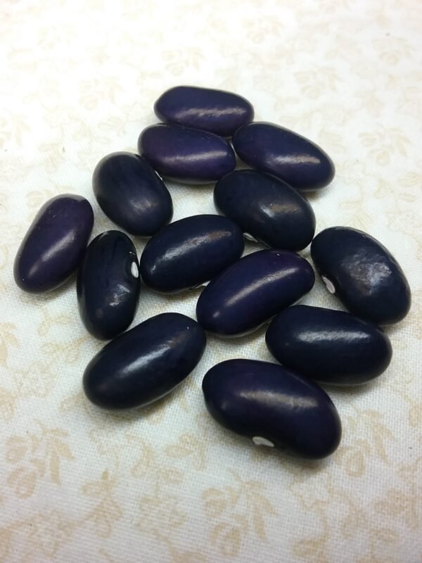 Rosa's Pole Bean Heirloom Seeds Grown in Sudbury, Ontario, Canada. Grown Organically. Heritage Hobby Seed Ark.