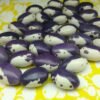 Lilascheke Pole Bean Heirloom Seeds. Grown in Sudbury, Ontario, Canada. Organically Grown. Heritage Hobby Seed Ark.