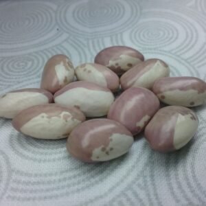 Ruzova Kravicka Pole Bean Heirloom Seeds Grown in Sudbury, Ontario, Canada. Grown Organically. Heritage Hobby Seed Ark.