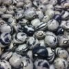 Kartoffel Bohne Pole Bean Heirloom Seeds. Grown in Sudbury, Ontario, Canada. Organically Grown. Heritage Hobby Seed Ark.