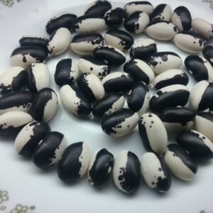 Georgian Black & White Pole Bean Heirloom Seeds. Grown in Sudbury, Ontario, Canada. Organically Grown. Heritage Hobby Seed Ark.