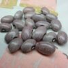 Ntingi Pole Bean Heirloom Seeds. Grown in Sudbury, Ontario, Canada. Organically Grown. Heritage Hobby Seed Ark.