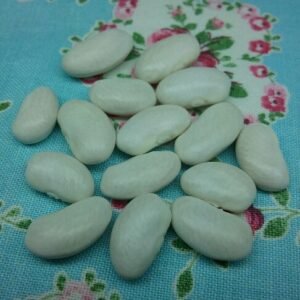 Eary Riser Pole Bean Heirloom Seeds. Grown in Sudbury, Ontario, Canada. Organically Grown. Heritage Hobby Seed Ark.