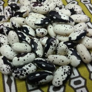 Schwarze Dalmatin Pole Bean Heirloom Seeds Grown in Sudbury, Ontario, Canada. Grown Organically. Heritage Hobby Seed Ark.