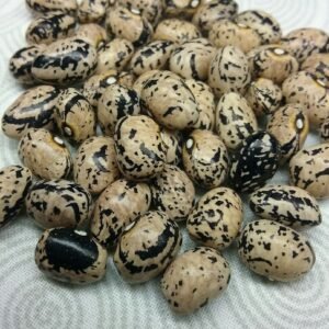 Meuch Pole Bean Heirloom Seeds. Grown in Sudbury, Ontario, Canada. Organically Grown. Heritage Hobby Seed Ark.