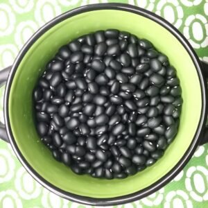 Mitla Black Semi-Runner Bean Heirloom Seeds. Grown in Sudbury, Ontario, Canada. Organically Grown. Heritage Hobby Seed Ark.