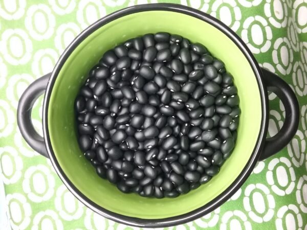 Mitla Black Semi-Runner Bean Heirloom Seeds. Grown in Sudbury, Ontario, Canada. Organically Grown. Heritage Hobby Seed Ark.