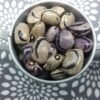 Forelle Fleiderfarben Pole Bean Heirloom Seeds. Grown in Sudbury, Ontario, Canada. Organically Grown. Heritage Hobby Seed Ark.