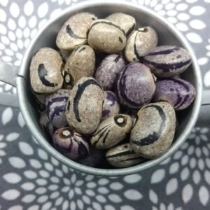 Forelle Fleiderfarben Pole Bean Heirloom Seeds. Grown in Sudbury, Ontario, Canada. Organically Grown. Heritage Hobby Seed Ark.