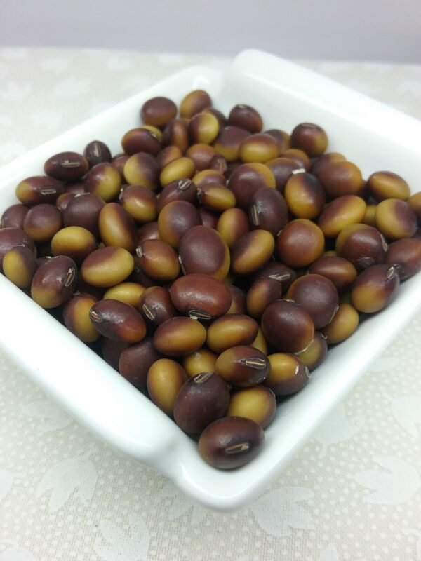 Agate Soybean Heirloom Seeds Grown in Sudbury, Ontario, Canada. Grown Organically. Heritage Hobby Seed Ark.