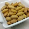 Saxa Bush Bean Heirloom Seeds Grown in Sudbury, Ontario, Canada. Grown Organically. Heritage Hobby Seed Ark.