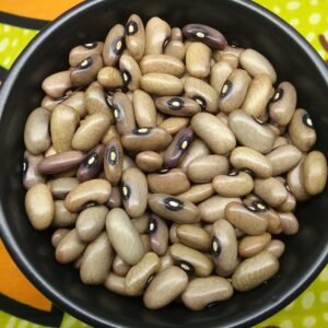 Green Savage Pole Bean Heirloom Seeds. Grown in Sudbury, Ontario, Canada. Organically Grown. Heritage Hobby Seed Ark.